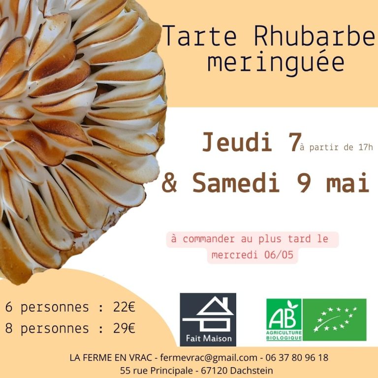 Tarte Rhubarbe meringués (4)
